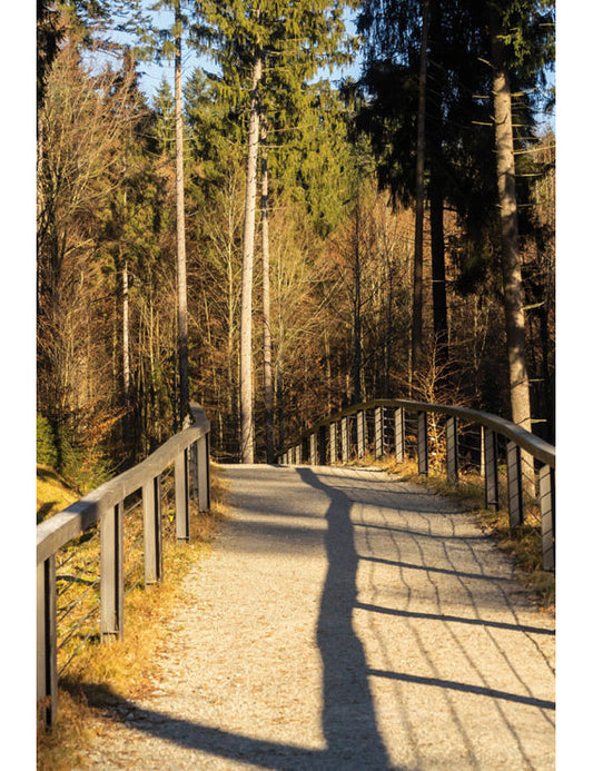 DK Blanco Foto Weg im Wald