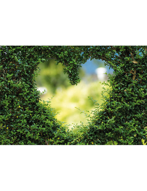 DK Blanco Foto Herz in Hecke