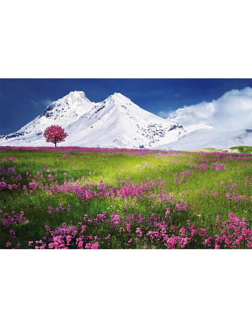 DK Blanco Foto Berge/Blumenwiese