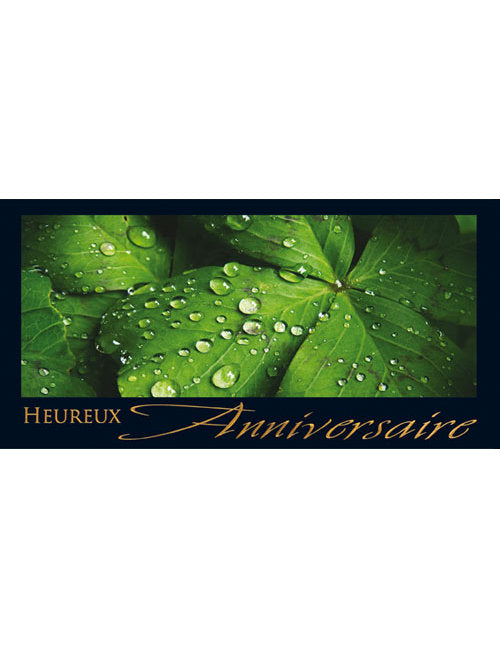 CD Anniversaire A6/5 3-1204