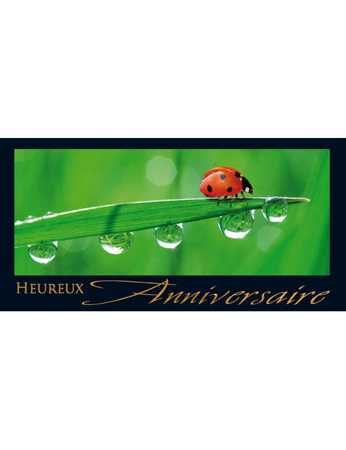 CD Anniversaire A6/5 3-1205