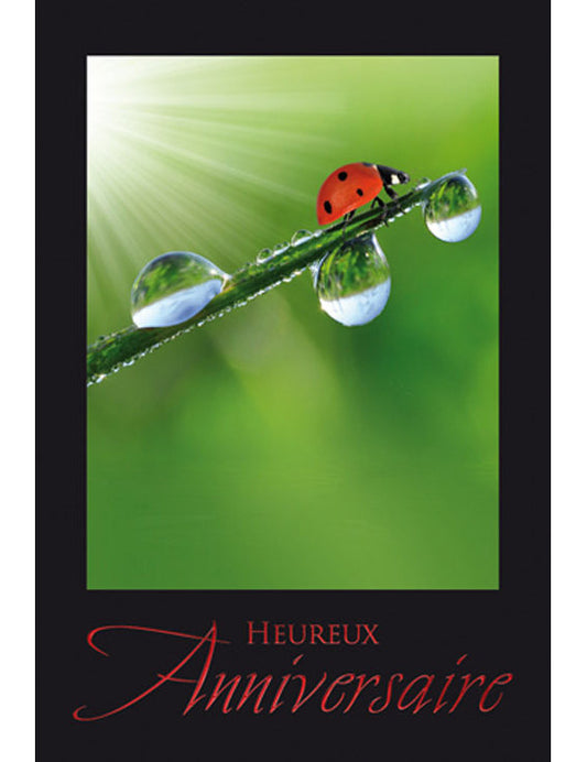 CD Anniversaire 3-1306