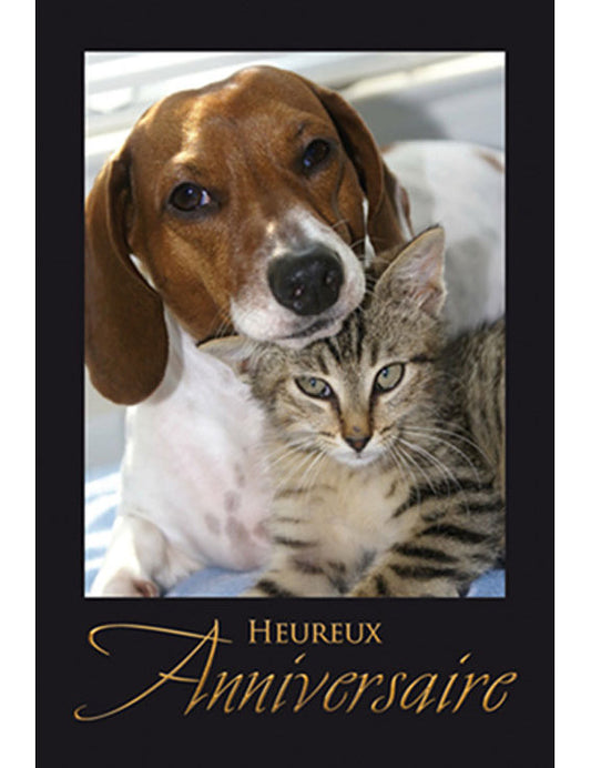 CD Anniversaire 3-1308