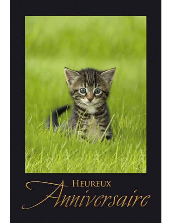 CD Anniversaire 3-1310