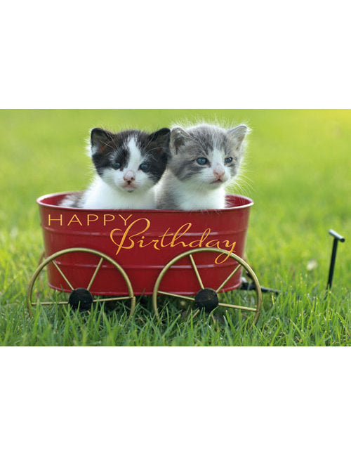 CD Anniversaire 4-4911