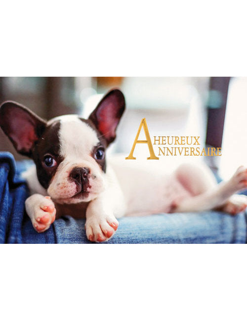 CD Anniversaire 4-4915