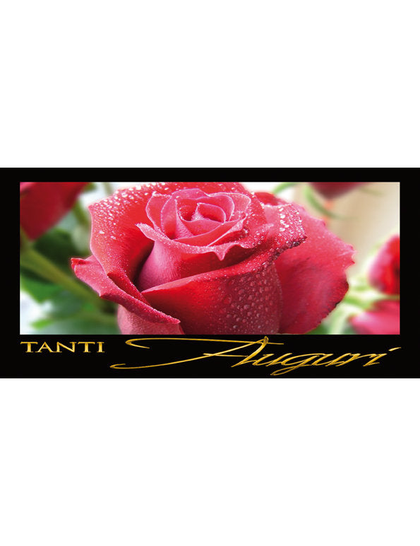 Tanti Auguri: Rosa