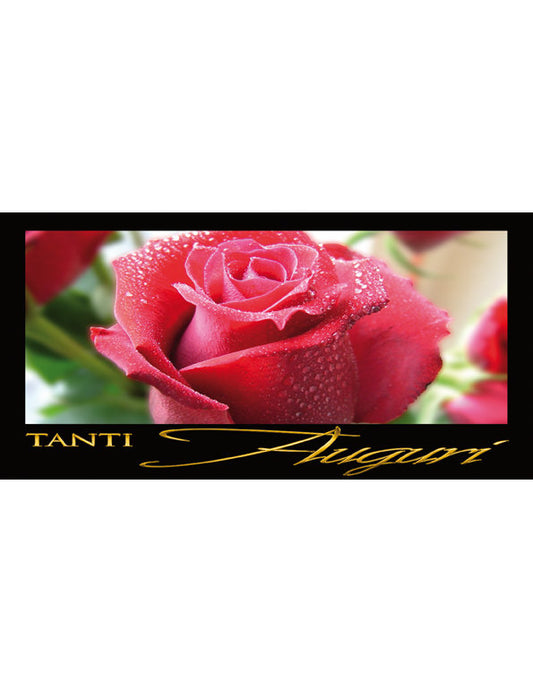 Tanti Auguri: Rosa