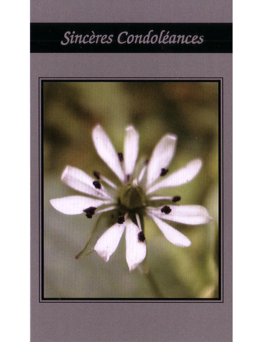 Doppelkarte. Sincères Condoléances