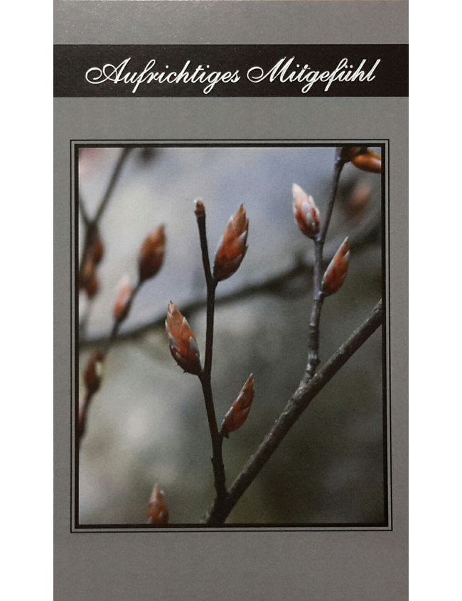 Aufrichtiges Mitgefühl