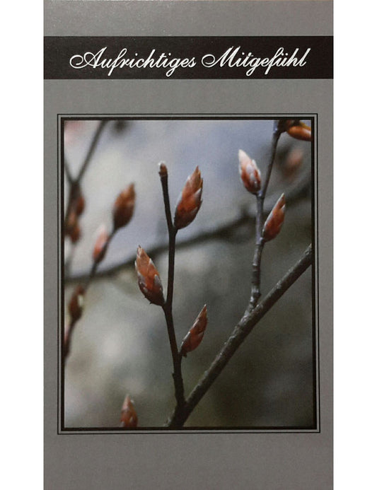 Aufrichtiges Mitgefühl