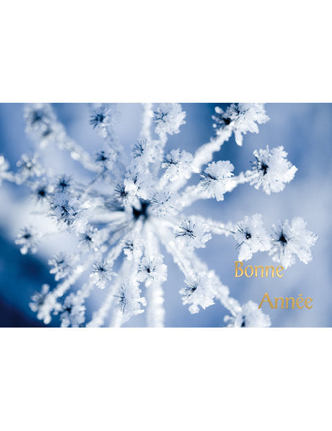 Carte double Nouvel An 98-4220