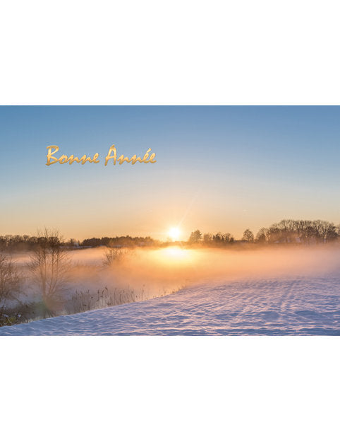 Carte double Nouvel An 98-4485