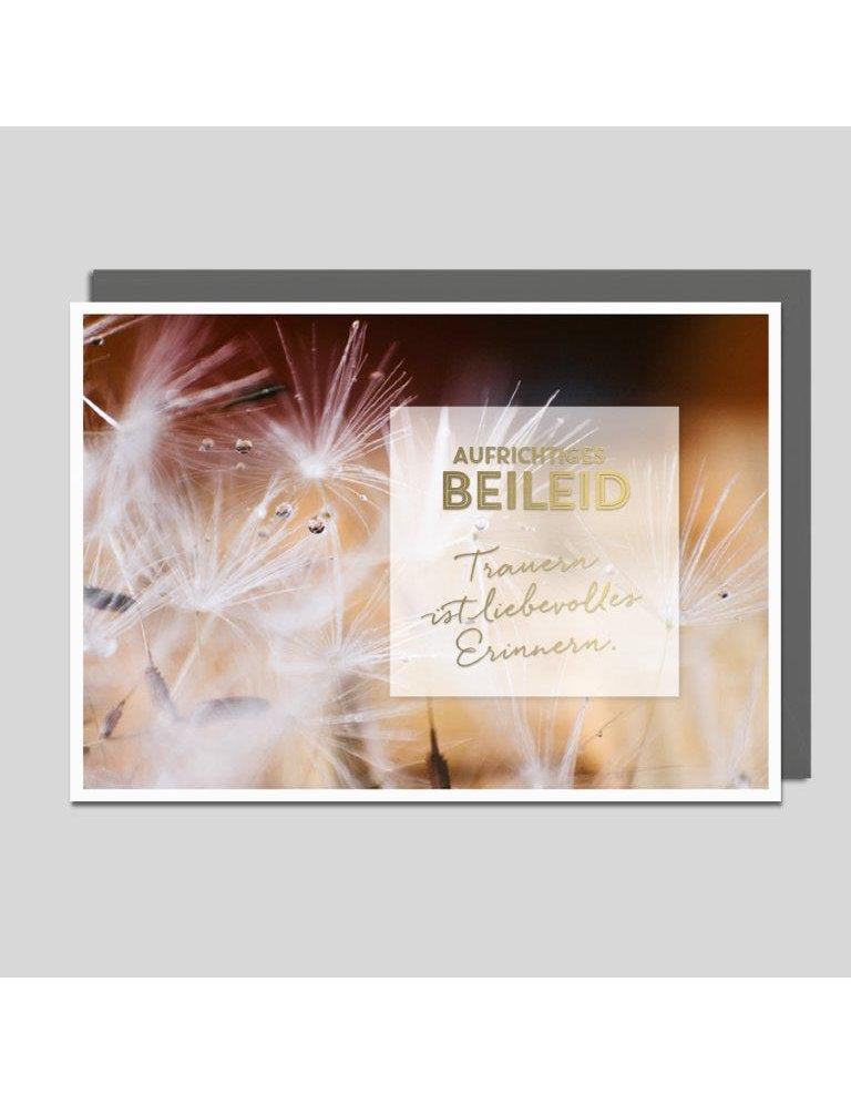 Aufrichtiges Beileid