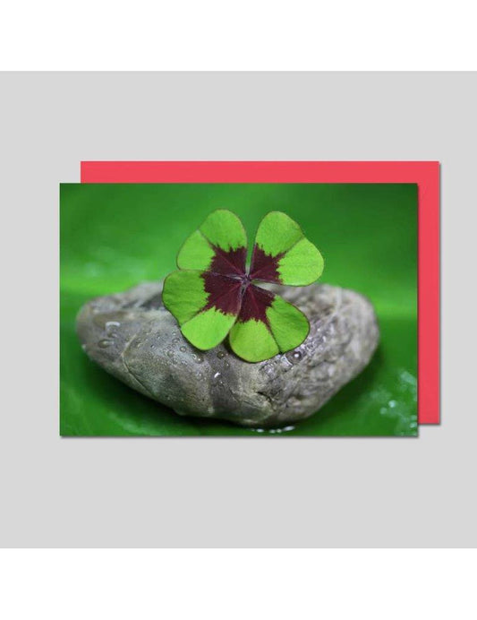 Doppelkarte. Fotokarte Kleeblatt / blanko