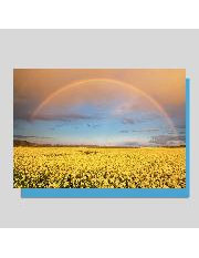 Doppelkarte. Foto - Regenbogen / blanko