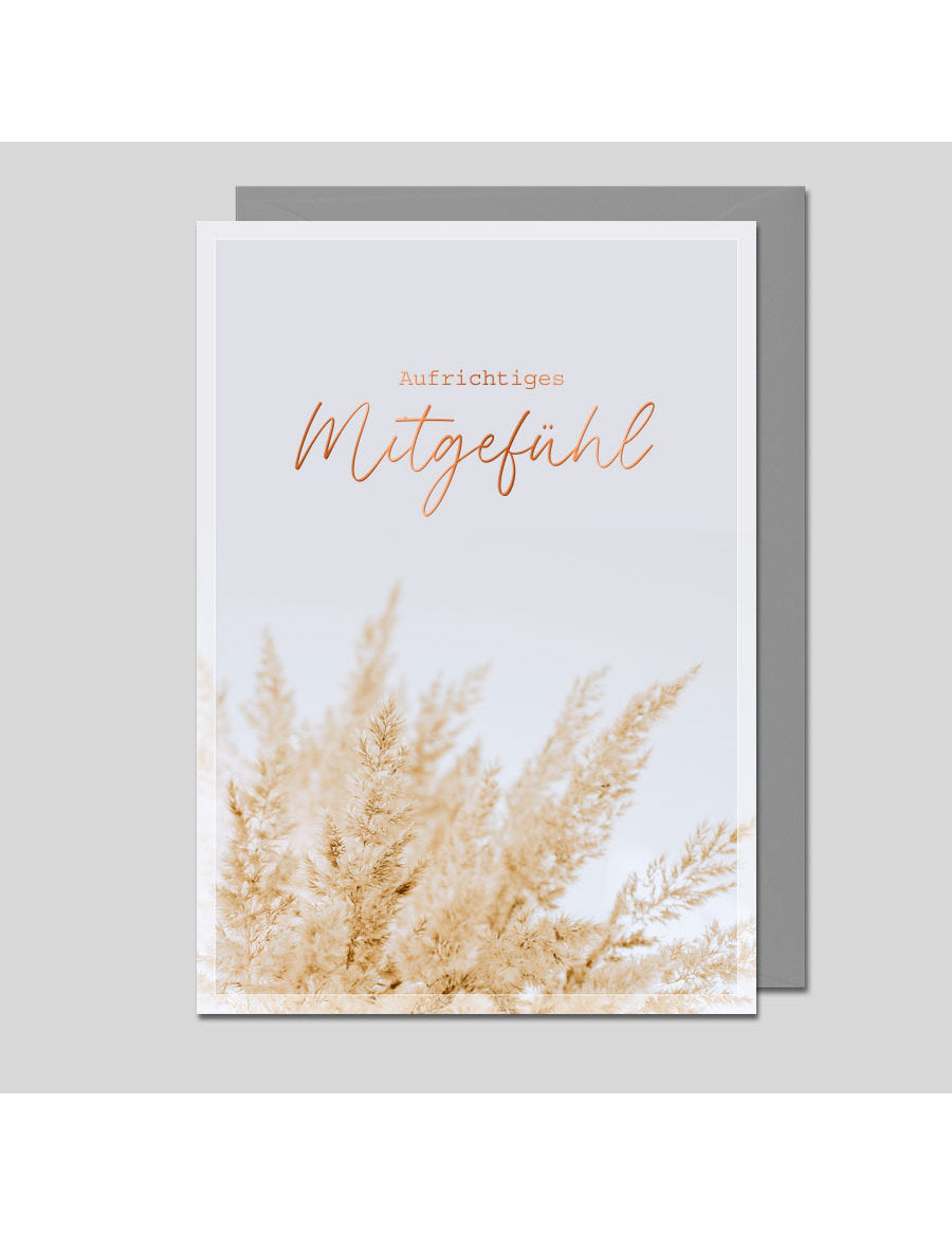 Aufrichtiges Mitgefühl