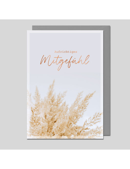 Aufrichtiges Mitgefühl