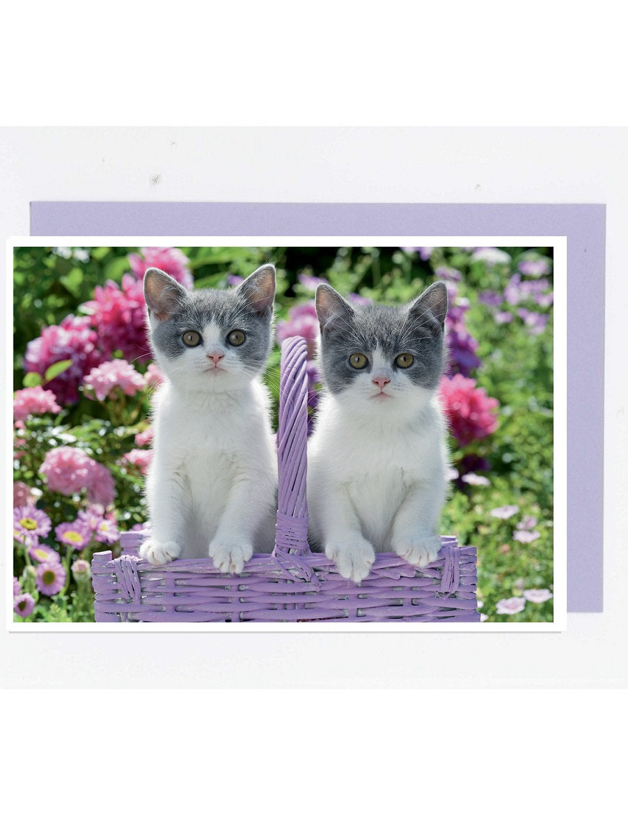 Doppelkarte. Fotokarte Kätzchen im Korb / blanko