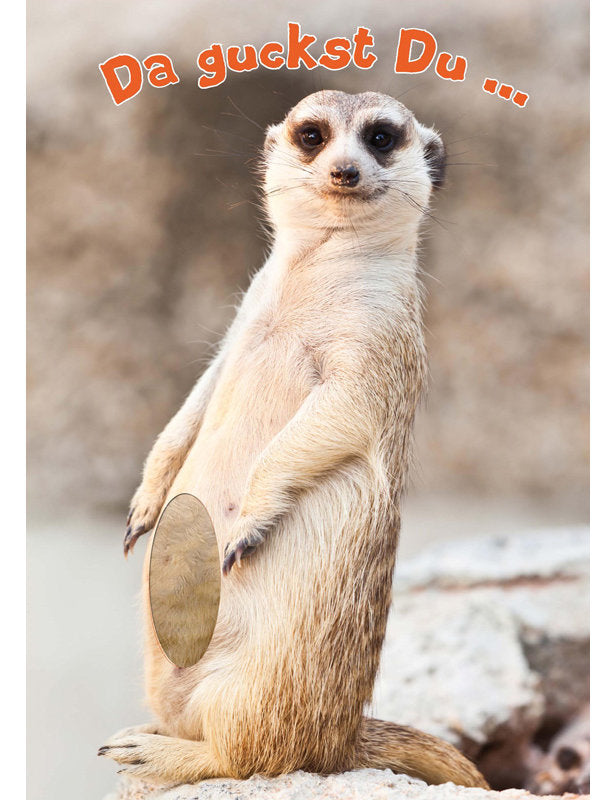 Soundkarte Touch. Erdmännchen Pelz - Da guckst Du...