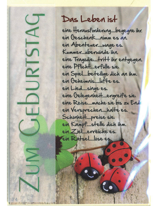 Doppelkarte / Geburtstag / hoch