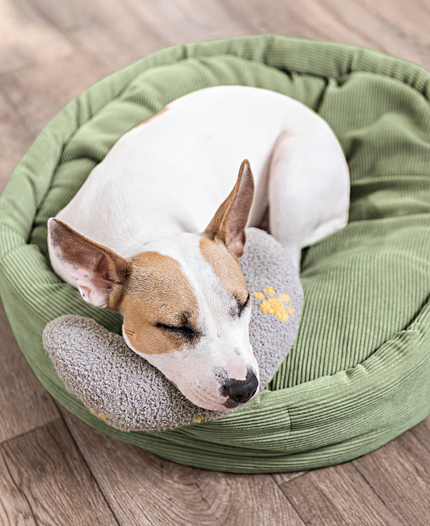 Beruhigungskissen für Hunde & Katzen