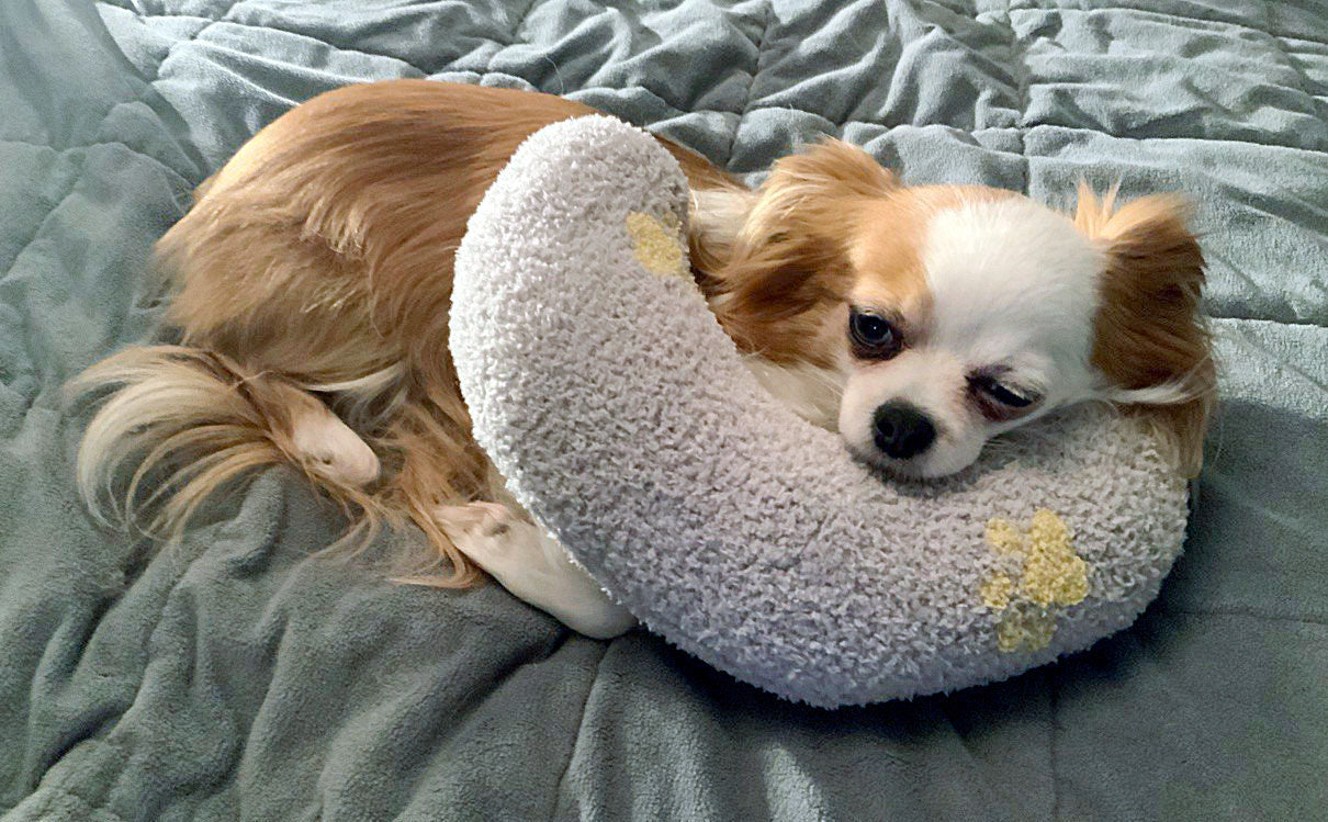 Beruhigungskissen für Hunde & Katzen