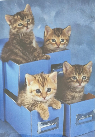 Blanko ( 7 x 10 cm )