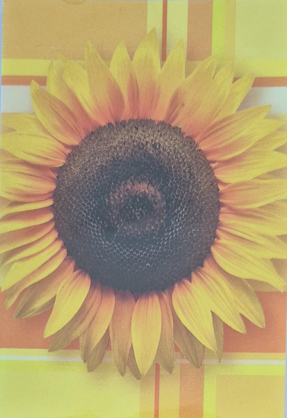 Blanko  ( 7 x 10 cm )