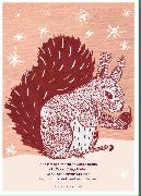 Lichtungen - Postkartenbuch