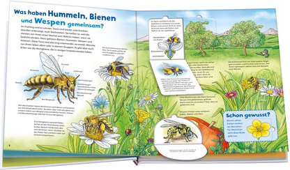 WAS IST WAS Junior Band 34 Bienen, Wespen, Hummeln
