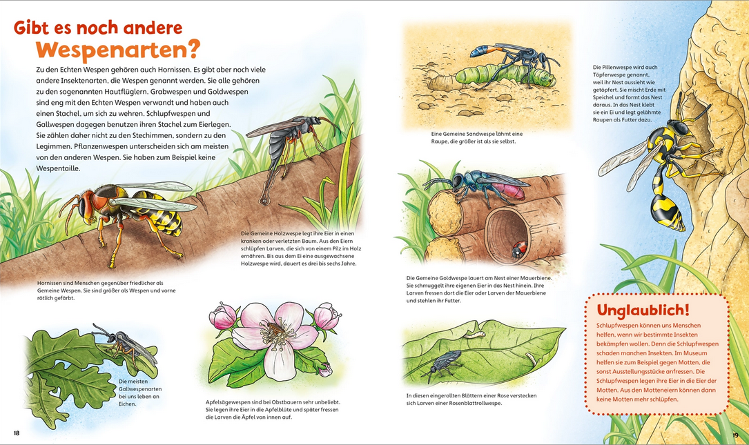 WAS IST WAS Junior Band 34 Bienen, Wespen, Hummeln