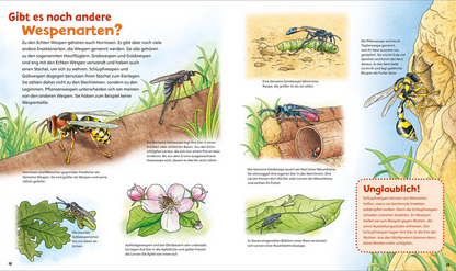 WAS IST WAS Junior Band 34 Bienen, Wespen, Hummeln