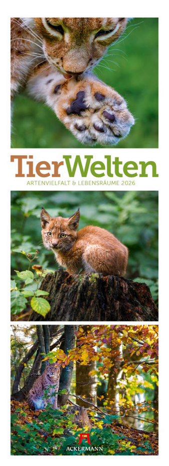 Triplet-Kalender 2026 "Tierwelten" (24 x 66 cm)