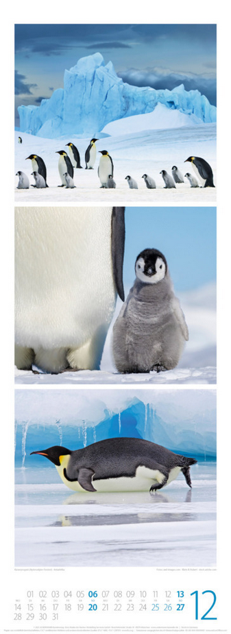 Triplet-Kalender 2026 "Tierwelten" (24 x 66 cm)