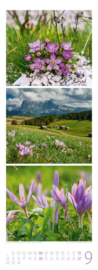 Triplet-Kalender 2026 "Bergzeit" (24 x 66 cm)