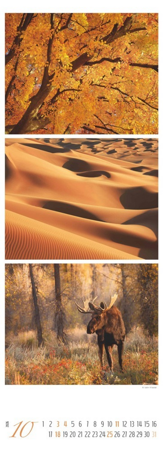 Triplets Kalender 2026  "Colours of Nature" ( 25 × 69 cm)