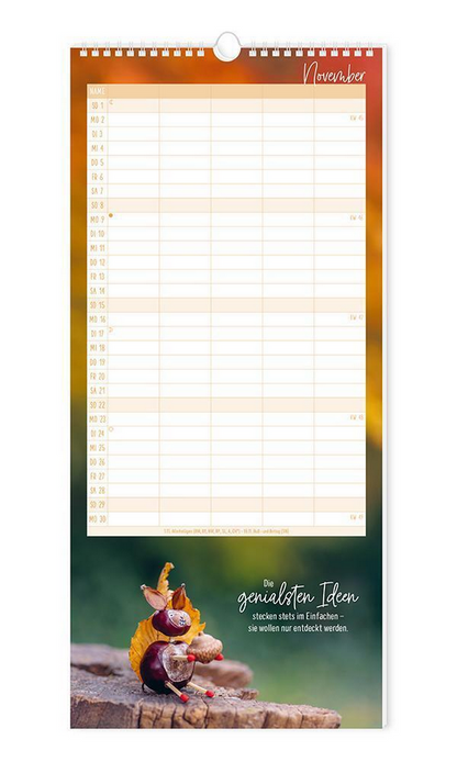 Familienplaner 2026 (22 x 48.5 cm)