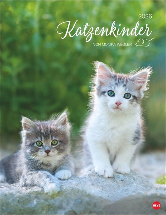 Posterkalender 2026 "Katzenkinder" (34 x 44 cm)
