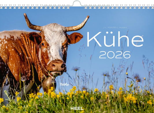 Wandkalender 2026 "Kühe" (47.5 x 33 cm)
