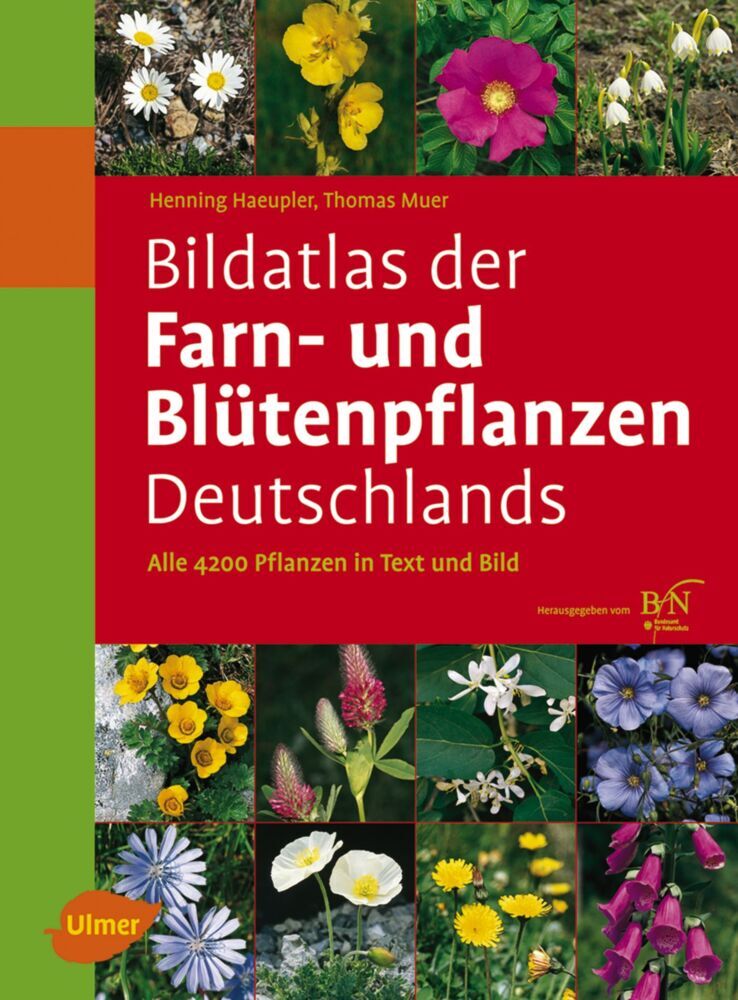 Bildatlas der Farn- und Blütenpflanzen Deutschlands (Henning Haeupler)
