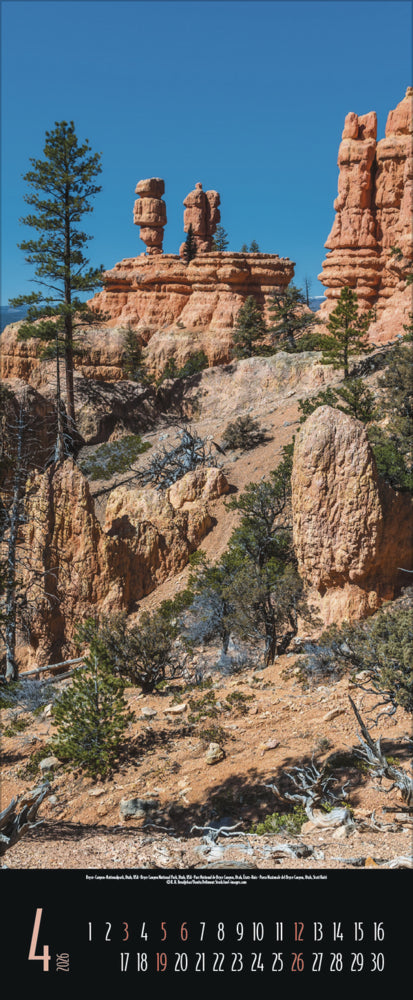 XL-Wandkalender 2026 "Spirit of Earth" (29 x 70 cm)