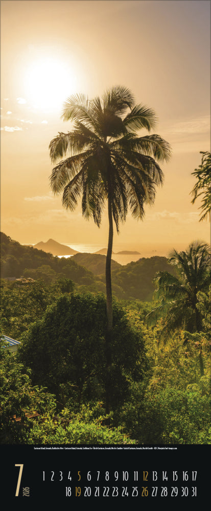 XL-Wandkalender 2026 "Spirit of Earth" (29 x 70 cm)