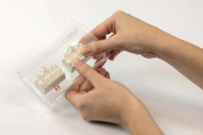 Terrarium - Stranger Things "Schattenwelt"