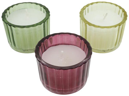 Teelicht im Glas, assortiert (5.5 x 3.7 cm)