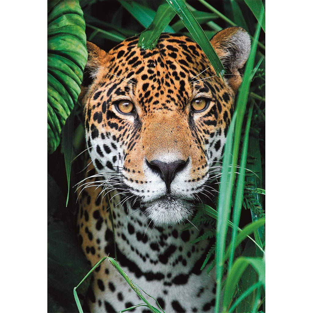 Clementoni Puzzle - Jaguar im Dschungel (500 Teile)