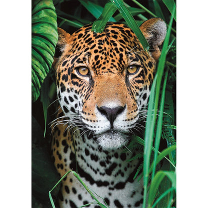 Clementoni Puzzle - Jaguar im Dschungel (500 Teile)
