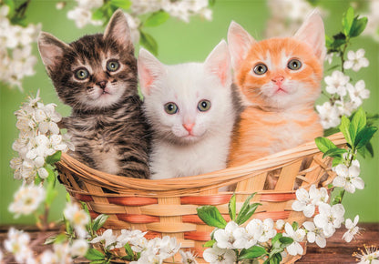 Clementoni 2er-Puzzle - Tierbrüder im Pelz (2 x 60 Teile)