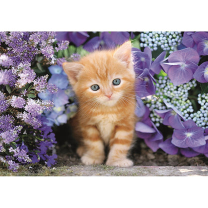 Clementoni Puzzle-Cat Ginger (500 Teilig)