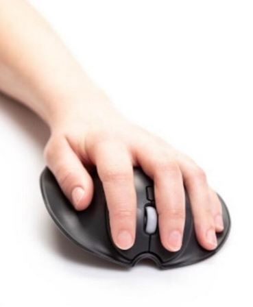 Handsheomouse - Maus (Mouse), Funk, ergonomisch, Rechtshänder - Gebraucht